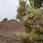 BADLANDS-040
