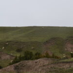 BADLANDS-113