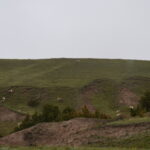BADLANDS-114