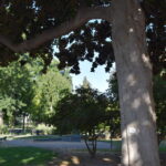 CA-02