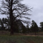 DEVILS-TOWER-020