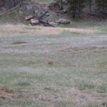 DEVILS-TOWER-045