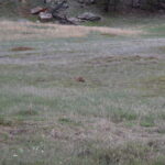 DEVILS-TOWER-046