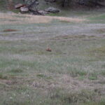 DEVILS-TOWER-047