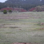 DEVILS-TOWER-048