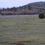 DEVILS-TOWER-049
