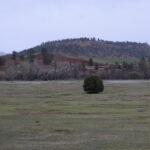DEVILS-TOWER-050