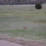 DEVILS-TOWER-051