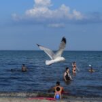 LAKE-ERIE-003