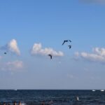 LAKE-ERIE-010