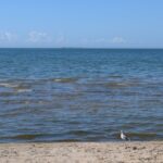 LAKE-ONTARIO-015