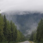 MENDENHALL-GLACIER-011