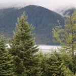MENDENHALL-GLACIER-014