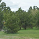 MISSISSIPPI-HEADWATERS-002
