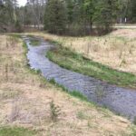 MISSISSIPPI-HEADWATERS-006