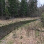 MISSISSIPPI-HEADWATERS-007
