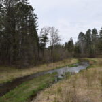 MISSISSIPPI-HEADWATERS-009