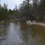 MISSISSIPPI-HEADWATERS-023