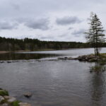 MISSISSIPPI-HEADWATERS-027