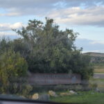 MISSOURI-HEADWATERS-004