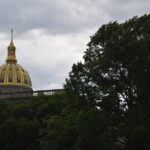 WV-11