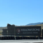 YELLOWSTONE-001