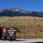 YELLOWSTONE-002