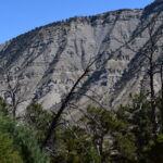 YELLOWSTONE-003