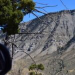 YELLOWSTONE-004