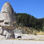 YELLOWSTONE-018