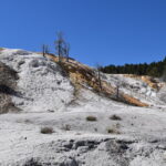 YELLOWSTONE-021
