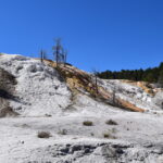 YELLOWSTONE-022