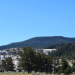 YELLOWSTONE-035