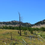 YELLOWSTONE-037