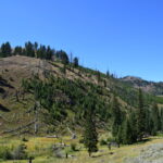 YELLOWSTONE-039
