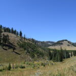 YELLOWSTONE-044