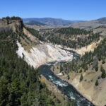 YELLOWSTONE-050