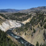 YELLOWSTONE-051