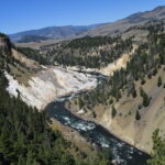 YELLOWSTONE-052