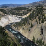 YELLOWSTONE-055