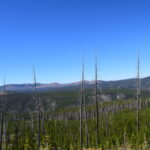 YELLOWSTONE-066