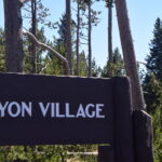 YELLOWSTONE-072