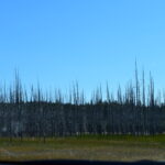 YELLOWSTONE-079