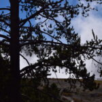 YELLOWSTONE-087
