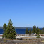 YELLOWSTONE-101