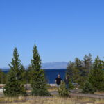 YELLOWSTONE-102