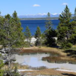 YELLOWSTONE-104