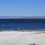 YELLOWSTONE-105