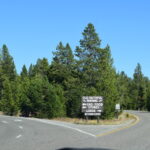 YELLOWSTONE-110