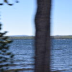YELLOWSTONE-125